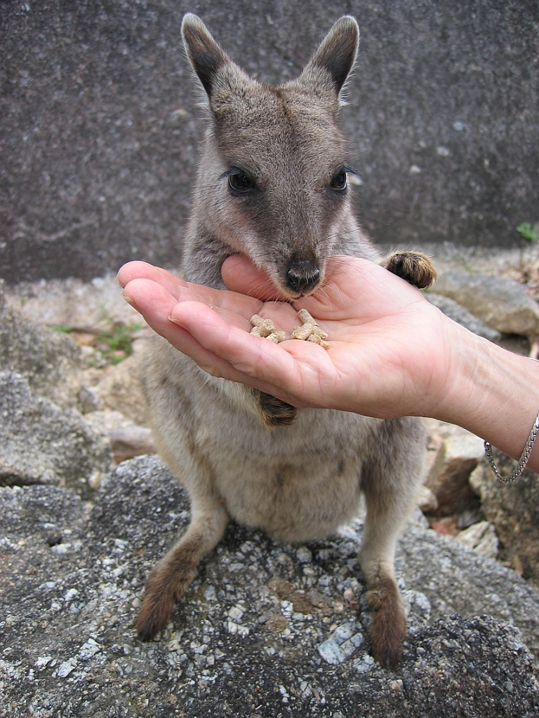 113 Granite Gorge.jpg